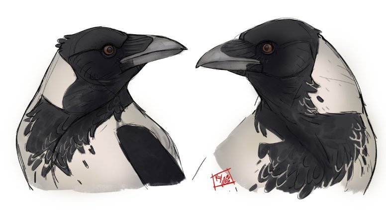 Owen Fielding Lights Up The Screen With Diverse Acting Talent